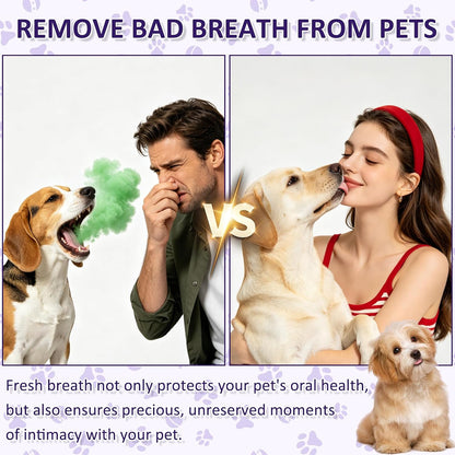 Pet Oral Spray, Teeth Cleaning Spray for Dogs and Cats, Pet Breath Freshener and Teeth Cleaning Sprays, No Brushing, 30Ml Each (2Pcs)